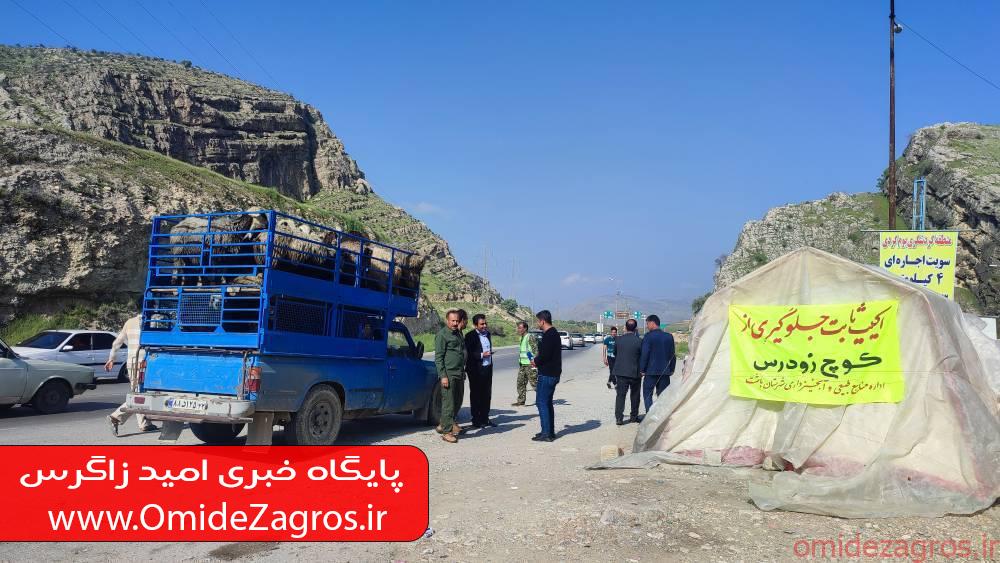 زمان رسمی کوچ عشایر به مناطق سردسیری کهگیلویه و بویراحمد