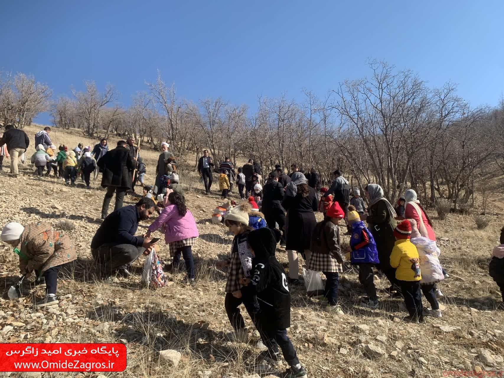 پویش درختکاری به نام پدر