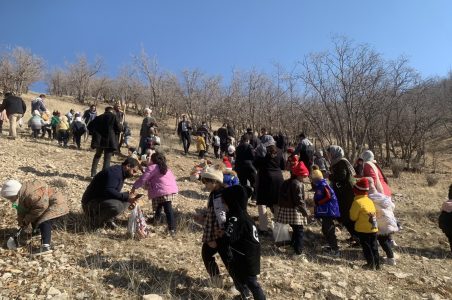 پویش درختکاری به نام پدر